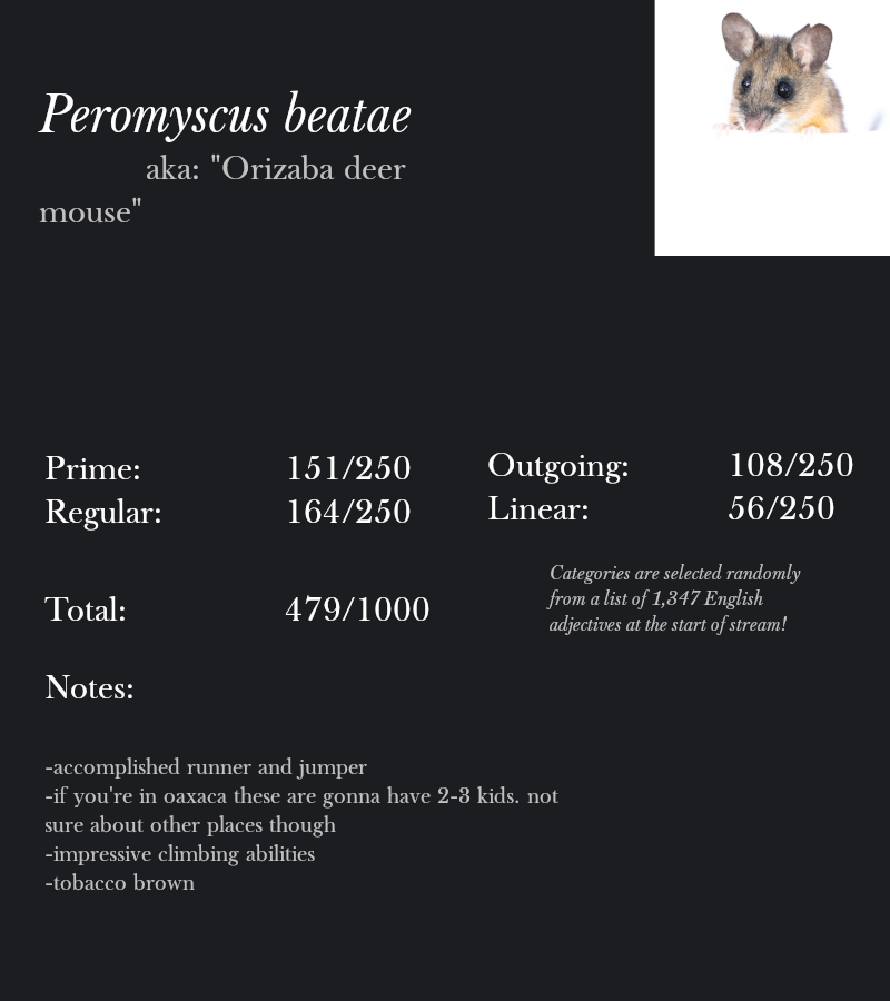 Peromyscus beatae